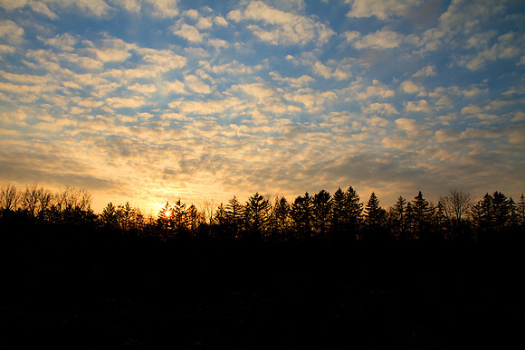 Fall Sunset