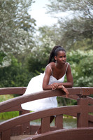 Cheyenne Bridge