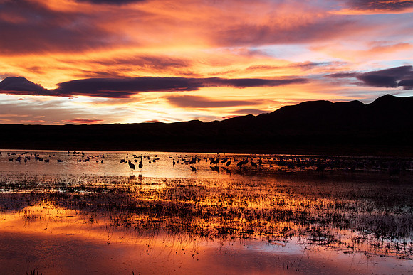Wrm NM Sunset
