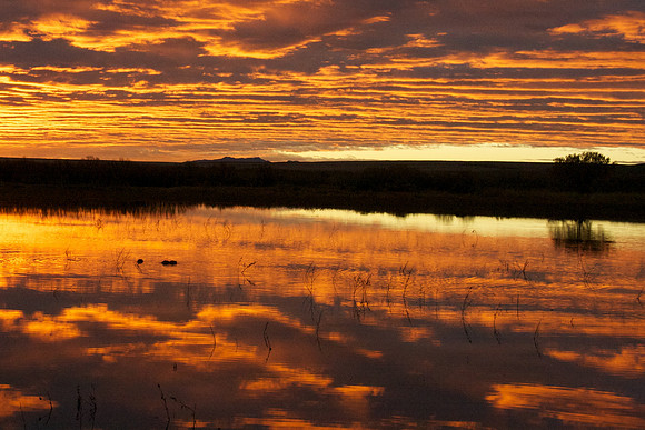 New Mexico Sunrise
