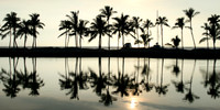 A-Bay Sillhouette