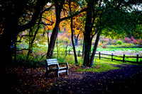 Autumn Bench