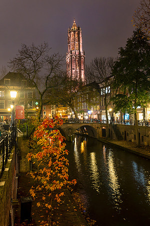 Dom Red Leaves