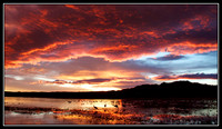 New Mexico Sunset
