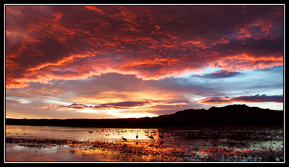 New Mexico Sunset