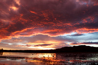 Dramatic Sunset