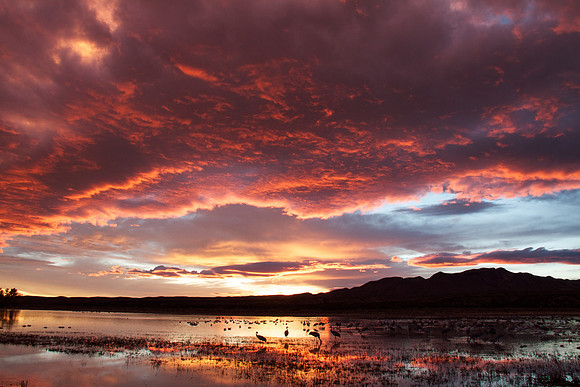 Dramatic Sunset